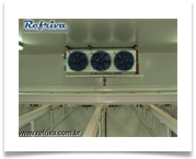 Evaporadora de alta vazão com rotor externo camara de cortes - Frigorifico Ariranha 